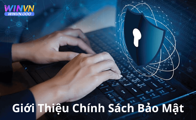 Giới thiệu chính sách bảo mật nhà cái Winvn