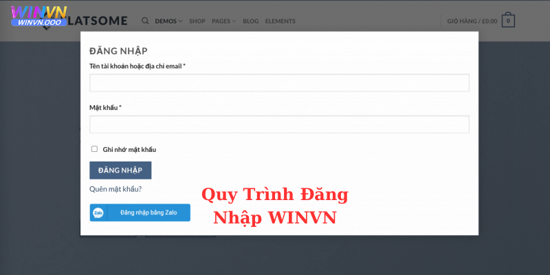 Hướng dẫn quy trình đăng nhập Winvn