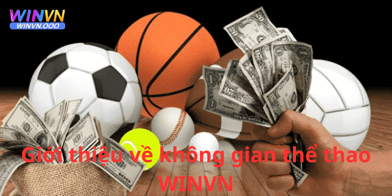 Giới thiệu đôi nét về thể thao winvn