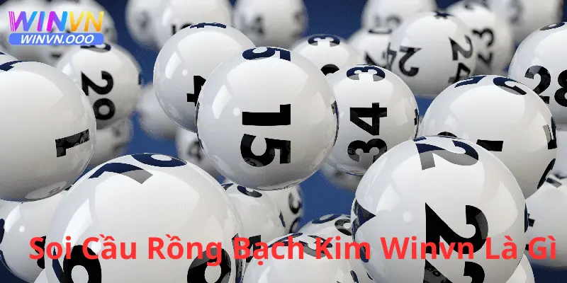 Tìm hiểu về soi cầu rồng bạch kim winvn